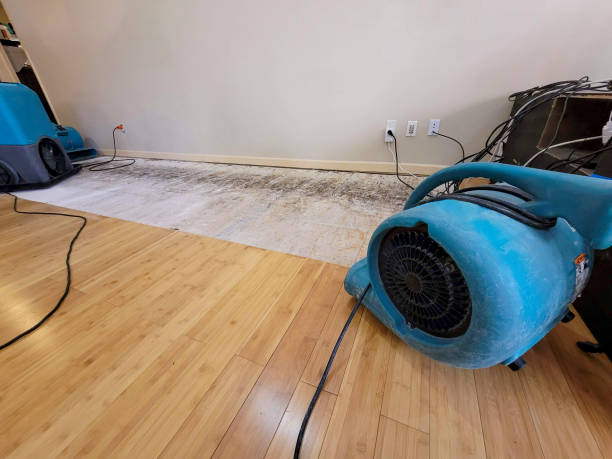 Professional Flood Damage Cleanup technician working in North Myrtle Beach, SC